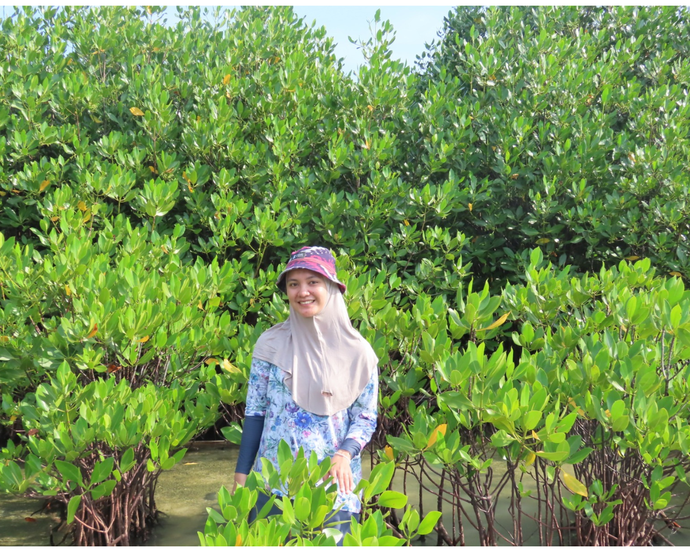 Deana Perawati, M.Si
